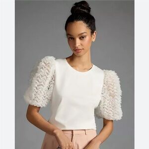 Anthropologie ruffle sleeve top